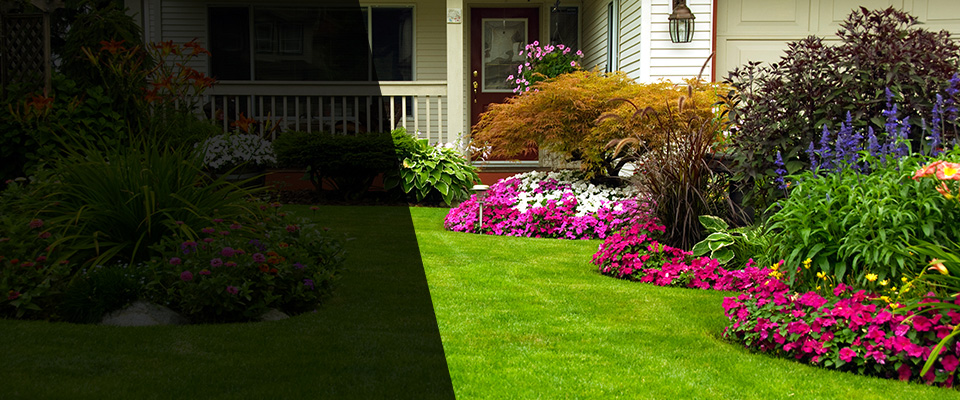 Rugby Landscapers