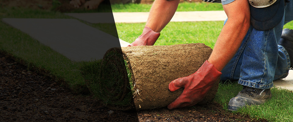 Rugby Landscapers